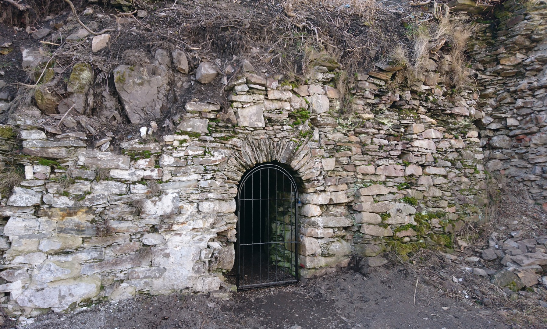 Fundgrübner und Leithund Stolln