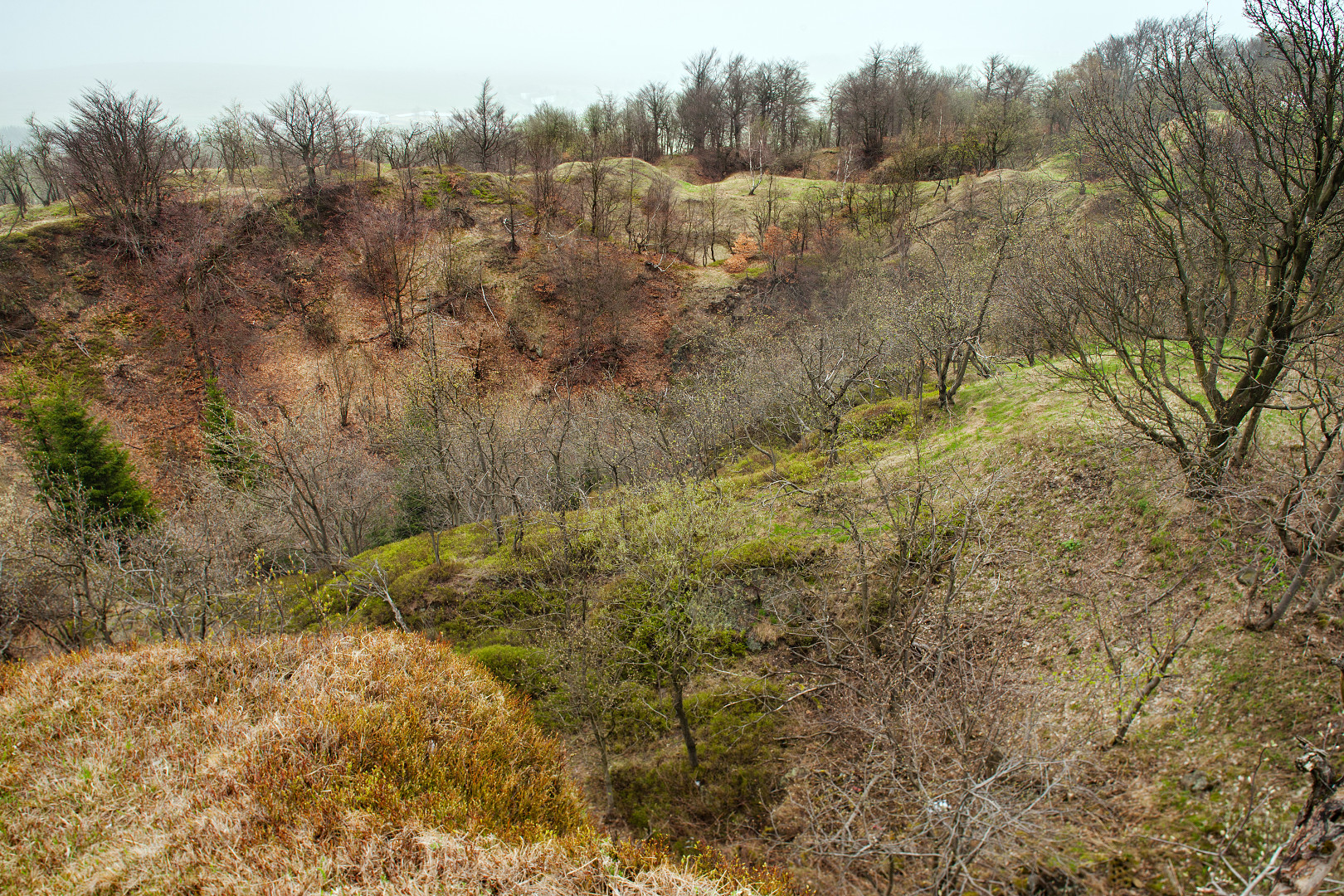 Die Große Pinge auf dem Mückenberg und die Wolfgangskapelle