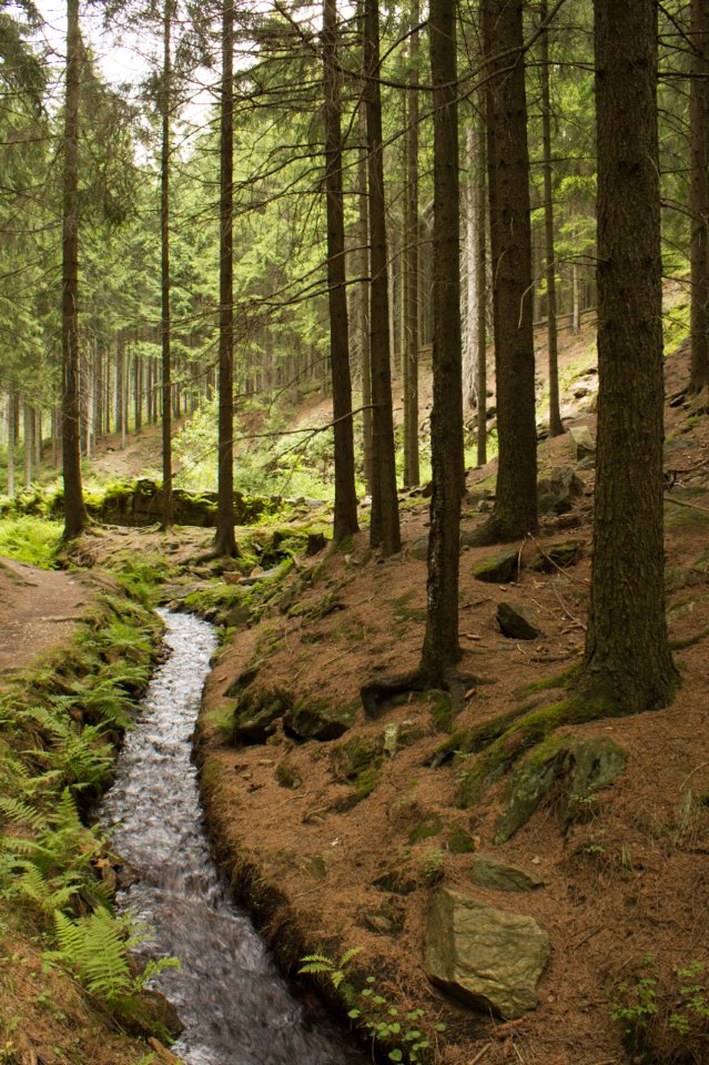 Röhrgraben Water Ditch